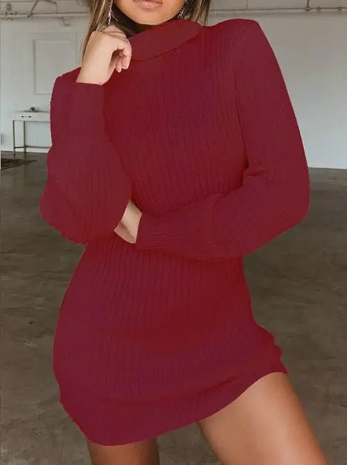 Long Sleeve Knitted Turtleneck Sweater Mini Dress - Tress's Beauty